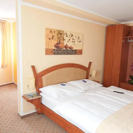 Hotel Aristo 3*